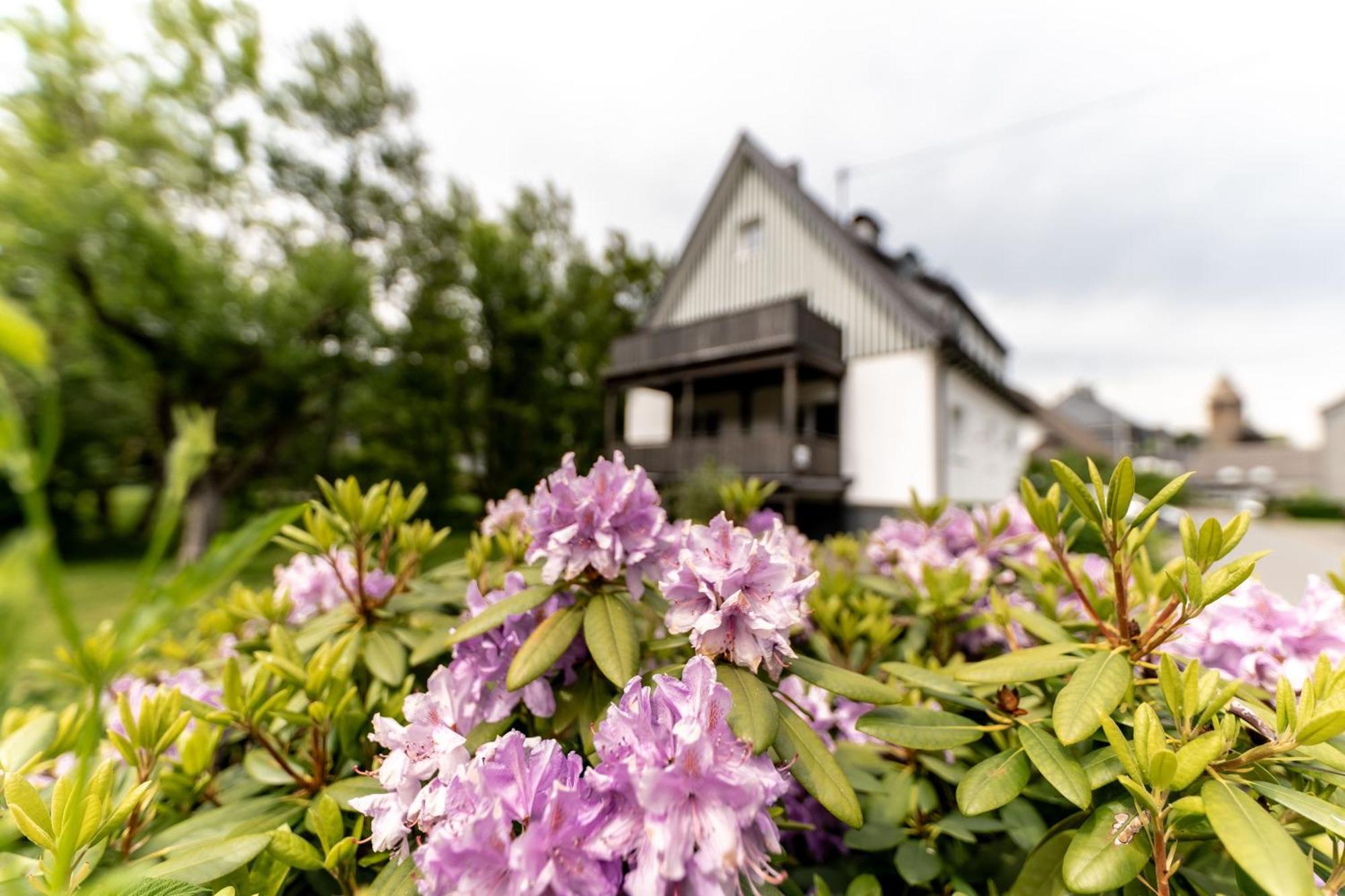 Ferienwohnung Haus An Der Lenne Lennestadt Zewnętrze zdjęcie
